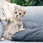 blog-1