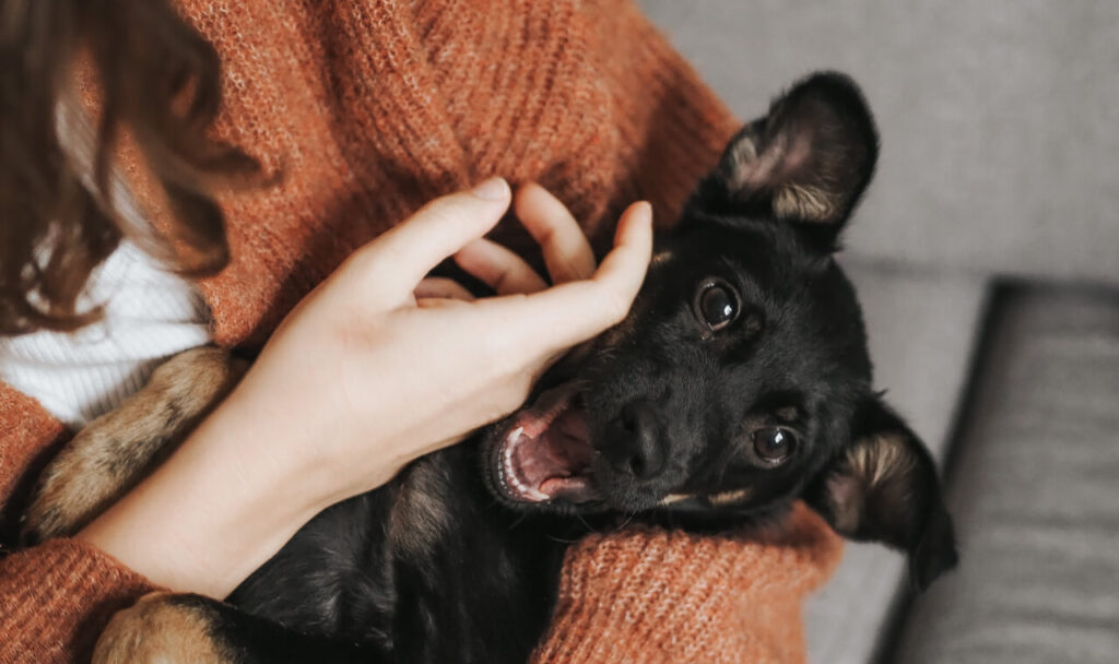 blog-6