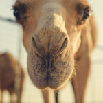 blog-5